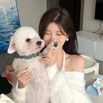 与狼共谋 海报